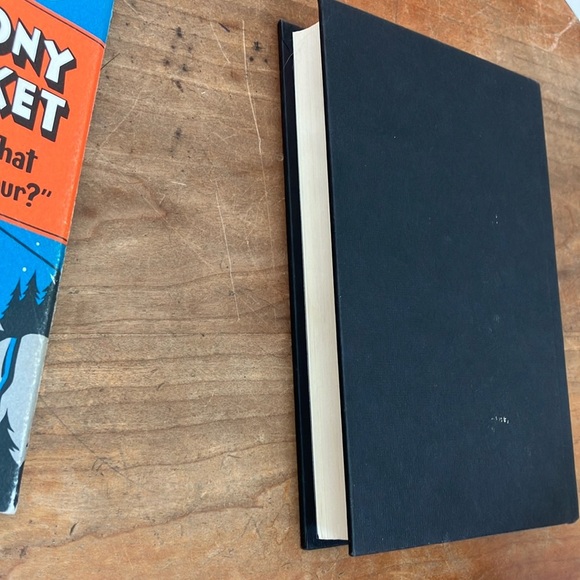 Lemony Snicket Book - Who Could That Be at This Hour? - Picture 11 of 16